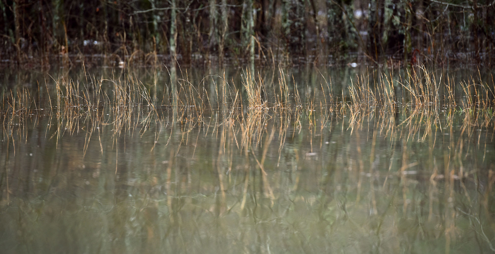 Rain and Flooding